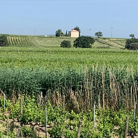 L'epicure- Marsanne Bed & Breakfast